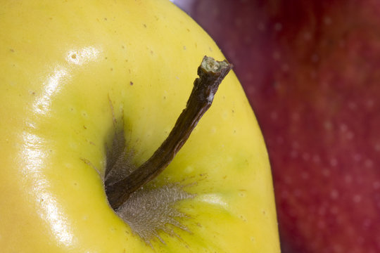detalle del contraste de color en la variedad de las manzanas