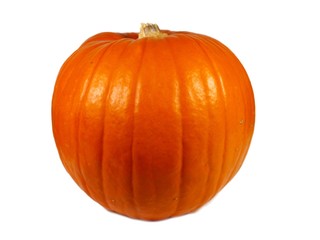 pumpkin isolated on white