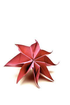 origami - blüte