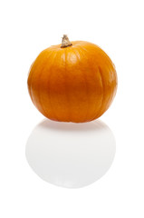 halloween edible pumpkin ready to ope