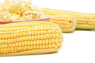 Fresh corn and popcorn