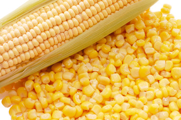 Ear of fresh corn and tinned corn