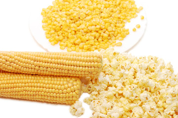 Fresh corn, preserved corn and popcorn