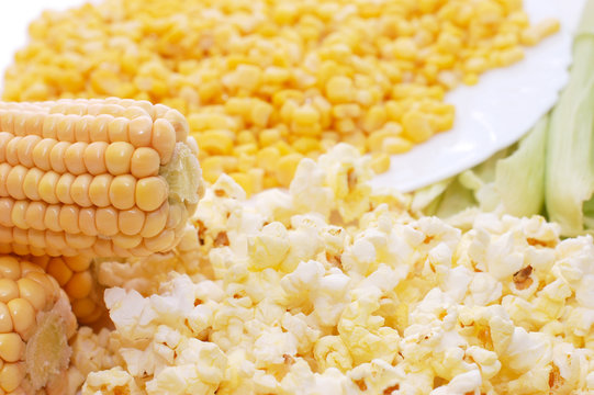 Fresh corn, preserved corn and popcorn