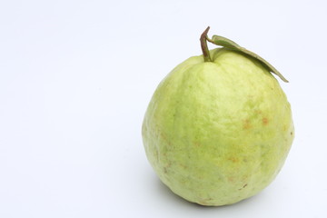 Guava / 番石榴