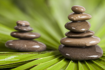 Stones on plant, zen
