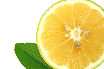 Fototapeta na wymiar citron vert