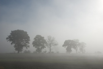 Herbstnebel