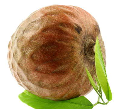 coeur boeuf, Annona reticulata