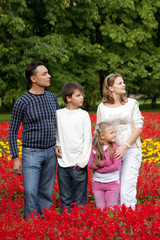 family of four looking aside in flowering park