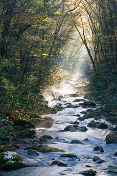 Smoky Mountains river in fall