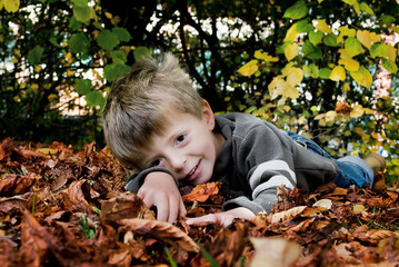 Little boy smiles as he lays in fallen autumn leaves.