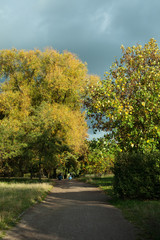 Obraz premium Autumn