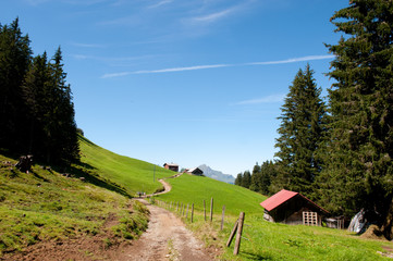 Fototapeta na wymiar Szwajcaria w górach