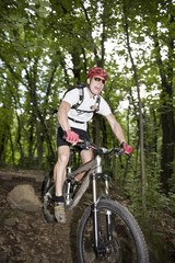 Naklejka premium Mountain Biker bei einen Sprung im Wald
