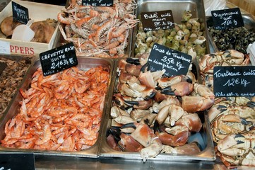 Fruits de mer sur l'étalage de la poissonnerie