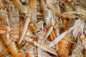 langoustines sur l'étalage de la poissonnerie