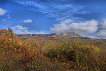 Green hills