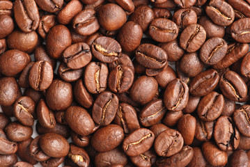 Naklejka premium coffee bean