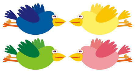 Set of four color birds.