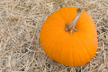 Pumpkin