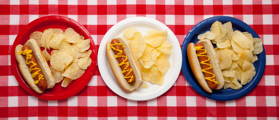 Obraz na płótnie Canvas Several hotdogs on colored plates