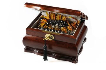 Jeweller casket with amber necklace