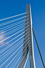 Obraz na płótnie Canvas Erasmus Bridge. Pilons