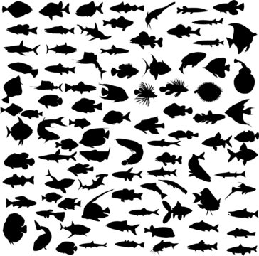 fish black group vector silhouettes