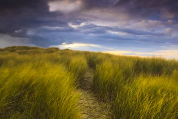 Fotobehang Stormclouds over the dunes of Zeeland in the Netherlands © Bas Meelker 