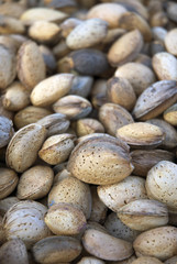 Obraz premium Freshly harvested almonds