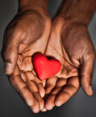 Obraz premium Heart in hand