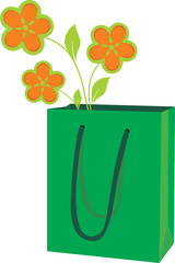 Green package for purchases with colours