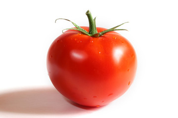 Tomato