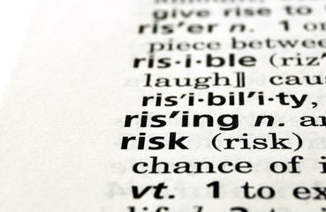 Risk Defined