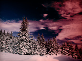 Obraz premium silent winter sunset
