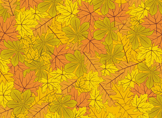 Fototapeta premium Autumn leaves vector background