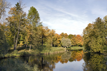 Autumn trees near river
