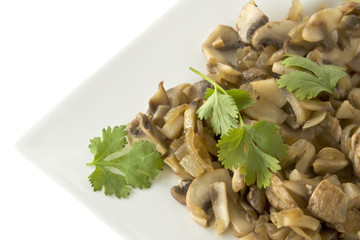 Champignons mit Koriander