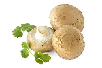 Champignons mit Koriander isoliert