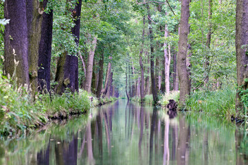 Spreewald