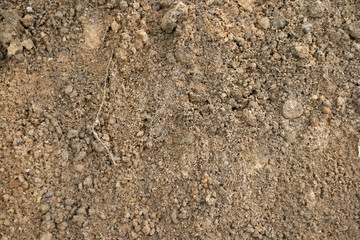 Soil
