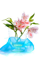 Alstroemeria/ Flower