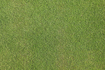 Grass background