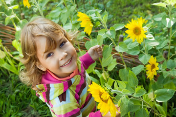 pretty Little Girl keeps in hand sunflower in garden