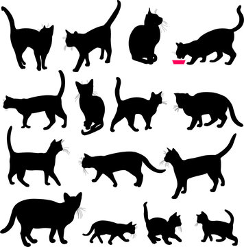 cats silhouettes collection - vector