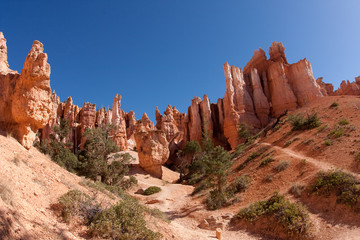 Naklejka premium Fairyland Loop Trail in Bryce Canyon