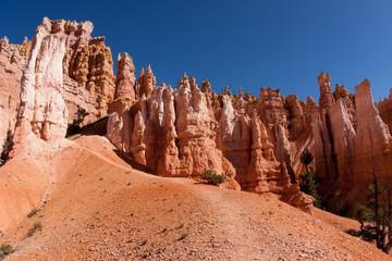 Fototapeta premium Bryce Canyon National Park