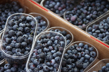 Blaubeeren