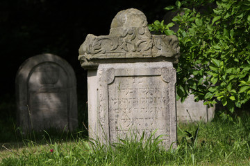 Fototapeta na wymiar Grabsteine auf einem jüdischen Friedhof